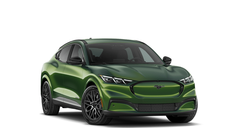 Mustang Mach-E® vehicle